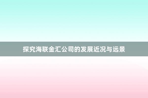 探究海联金汇公司的发展近况与远景